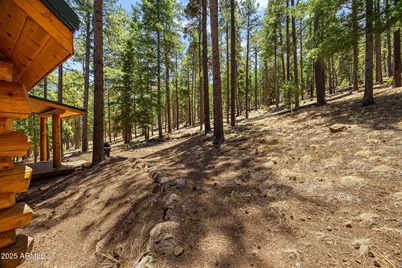 30 County Road N1068 --, Greer, AZ 85927 - Photo 43