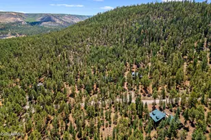 30 County Road N1068 --, Greer, AZ 85927 - Photo 47