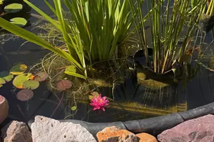 122 Van Dyke St, Bisbee, AZ 85603 - Photo 47