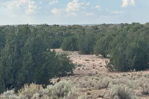 Lot 16 Apn 205-33-016, Saint Johns, AZ 85936 - Photo 1