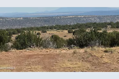 Lot 545C Woodland Valley Ranch -- #545C, Saint Johns, AZ 85936 - Photo 1
