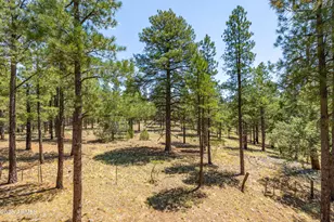 3040 S Solitaires Canyon Dr, Flagstaff, AZ 86005 - Photo 7