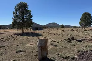 6690 N TD Way, Williams, AZ 86046 - Photo 19
