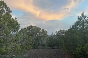 Lot 11 Uphill Trail --, Vernon, AZ 85940 - Photo 1