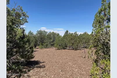 Lot 11 Uphill Trail -- #11, Vernon, AZ 85940 - Photo 9
