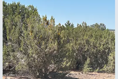 Lot 11 Uphill Trail -- #11, Vernon, AZ 85940 - Photo 15
