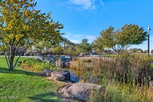 10718 E Lumiere Ave, Mesa, AZ 85212 - Photo 51