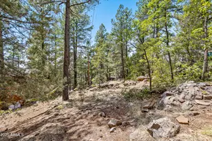 17775 S Stallion Dr, Munds Park, AZ 86017 - Photo 47