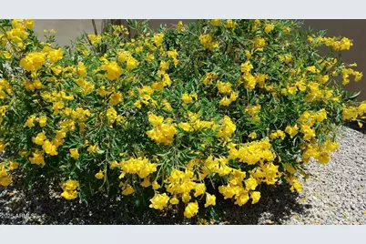 18114 W Desert Sage Drive, Goodyear, AZ 85338 - Photo 61