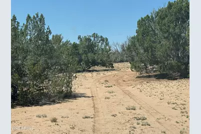Lot 178 Red Sky Ranch -- #178, Saint Johns, AZ 85936 - Photo 13