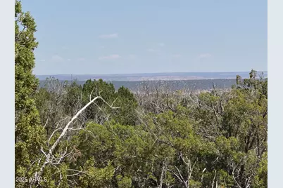 Lot 178 Red Sky Ranch -- #178, Saint Johns, AZ 85936 - Photo 1