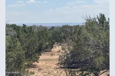 Lot 178 Red Sky Ranch -- #178, Saint Johns, AZ 85936 - Photo 7
