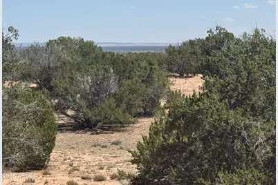 Lot 178 Red Sky Ranch -- #178, Saint Johns, AZ 85936 - Photo 5