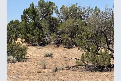 Lot 178 Red Sky Ranch -- #178, Saint Johns, AZ 85936 - Photo 11