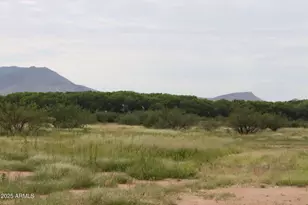 10550 E Hwy 92 Hwy, Hereford, AZ 85615 - Photo 61