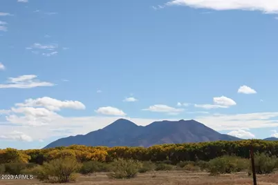 10550 E Highway 92 Highway, Hereford, AZ 85615 - Photo 63