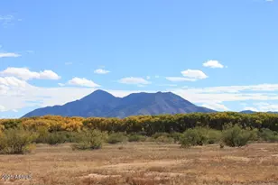 10550 E Hwy 92 Hwy, Hereford, AZ 85615 - Photo 65