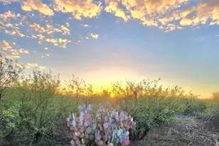 13122 W Dusty Flat Pl, Tucson, AZ 85735 - Photo 1