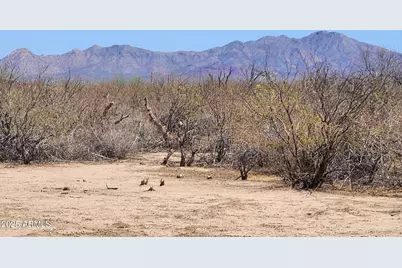 13122 W Dusty Flat Place #-, Tucson, AZ 85735 - Photo 5
