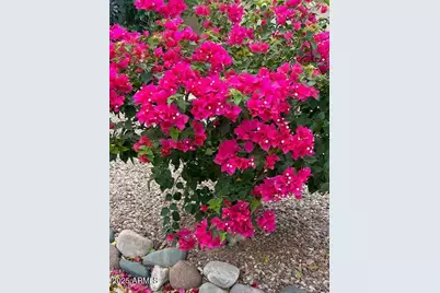 1295 N Lantana Place, Casa Grande, AZ 85122 - Photo 47