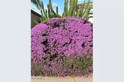 1295 N Lantana Place, Casa Grande, AZ 85122 - Photo 51