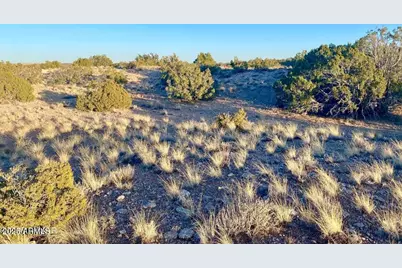 Tbd Co Rd 5062 2.39 Acres -- #-, Concho, AZ 85924 - Photo 15