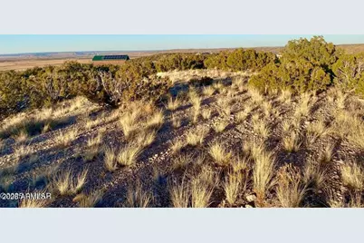 Tbd Co Rd 5062 2.39 Acres -- #-, Concho, AZ 85924 - Photo 19