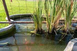 5244 W Waltann Ln, Glendale, AZ 85306 - Photo 45