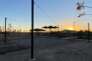 1081 E Peach Tree Dr, Chandler, AZ 85249 - Photo 25