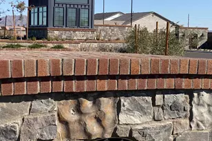 1081 E Peach Tree Dr, Chandler, AZ 85249 - Photo 27