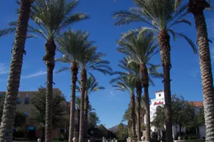 2885 N Riley Rd, Buckeye, AZ 85396 - Photo 71