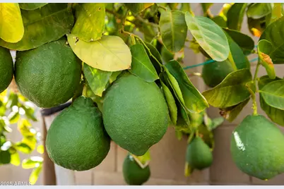 5458 S Chatsworth --, Mesa, AZ 85212 - Photo 69