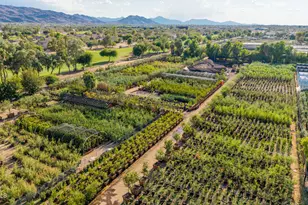 6520 S 28th St, Phoenix, AZ 85042 - Photo 49