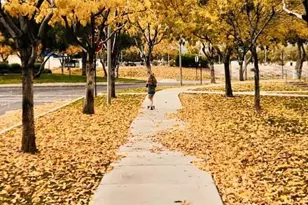 2369 N Riley Rd, Buckeye, AZ 85396 - Photo 93