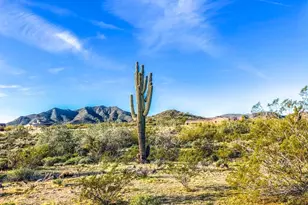 2369 N Riley Rd, Buckeye, AZ 85396 - Photo 55