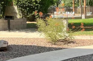 353 E Thomas Rd, Phoenix, AZ 85012 - Photo 5