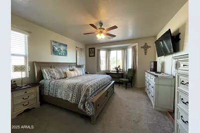 1462 W Sheep Wash Way, Benson, AZ 85602 - Photo 11