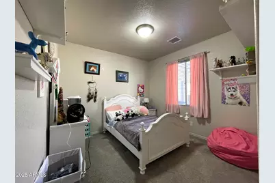 1462 W Sheep Wash Way, Benson, AZ 85602 - Photo 17