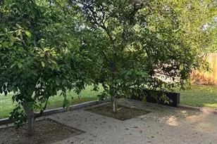 22 E 15th Street E, Tempe, AZ 85281 - Photo 57