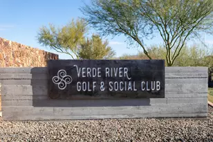 17608 E Desert Vista Trail, Rio Verde, AZ 85263 - Photo 45