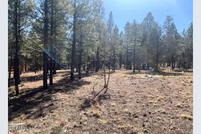 5236 Taos Circle #152, Happy Jack, AZ 86024 - Photo 3