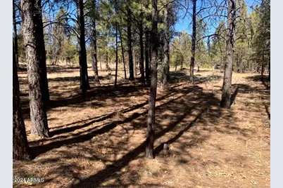 5236 Taos Circle #152, Happy Jack, AZ 86024 - Photo 1