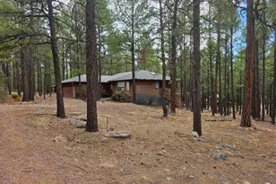 3 Co Rd 2089, Alpine, AZ 85920 - Photo 25