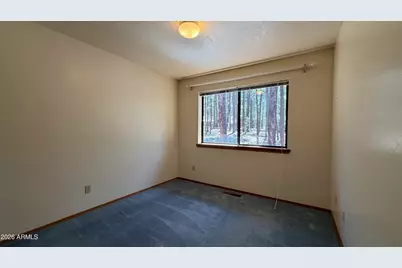 3 County Road 2089 --, Alpine, AZ 85920 - Photo 21
