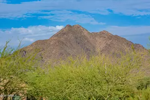 9990 E Desert Beauty Dr, Scottsdale, AZ 85255 - Photo 89