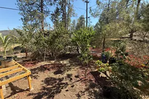 23576 S Sunny South Rd, Crown King, AZ 86343 - Photo 5