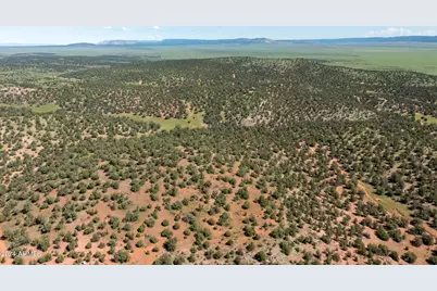 39.93 Acre W Titan Ranch Road #318, Seligman, AZ 86337 - Photo 7