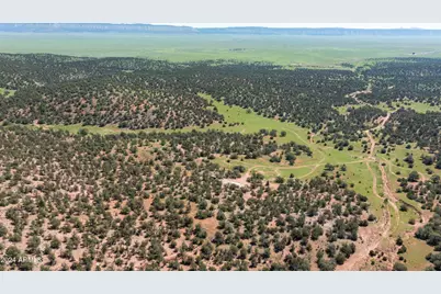 39.93 Acre W Titan Ranch Road #318, Seligman, AZ 86337 - Photo 17