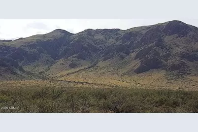 ---- 37 Acres Blacktail Road #-, San Simon, AZ 85632 - Photo 5