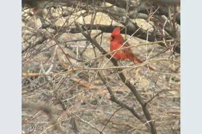 5782 E De Vaca Circle #18, Saint David, AZ 85630 - Photo 19